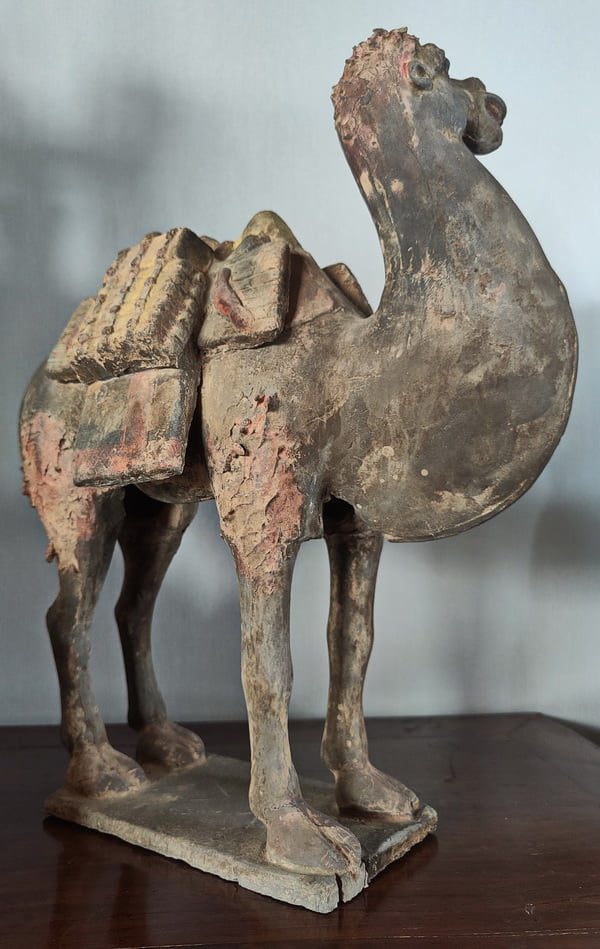 Right Side view Chinese Tang Dynasty Bactrian Camel