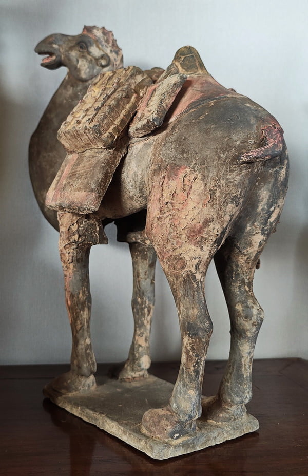 Side back view Tang Dynasty Bactrian Camel