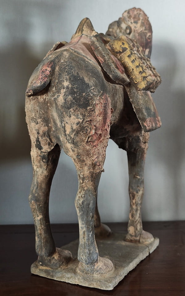 Tang Dynalsty Bactrian Stoneware Camel